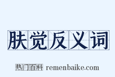 肤觉反义词是什么意思的图片